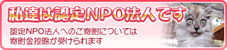 私達はＮＰＯ法人です 