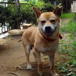 まさる《里子》