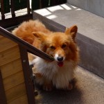 ベリー《他界》