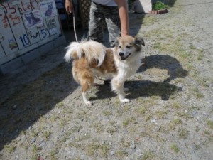 りゅう 《他界》