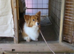 ベリー《他界》