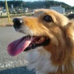 ベリー《他界》