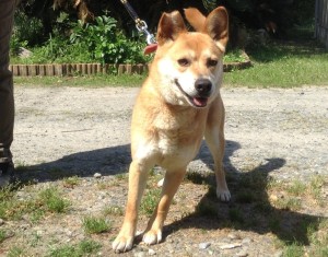 まさる《里子》