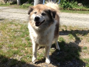 りゅう 《他界》