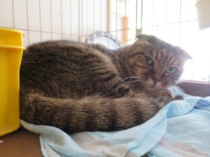 南（ナン）《他界》