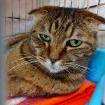 南（ナン）《他界》