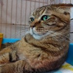 南（ナン）《他界》