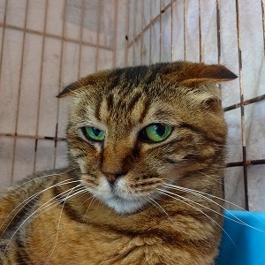 南（ナン）《他界》