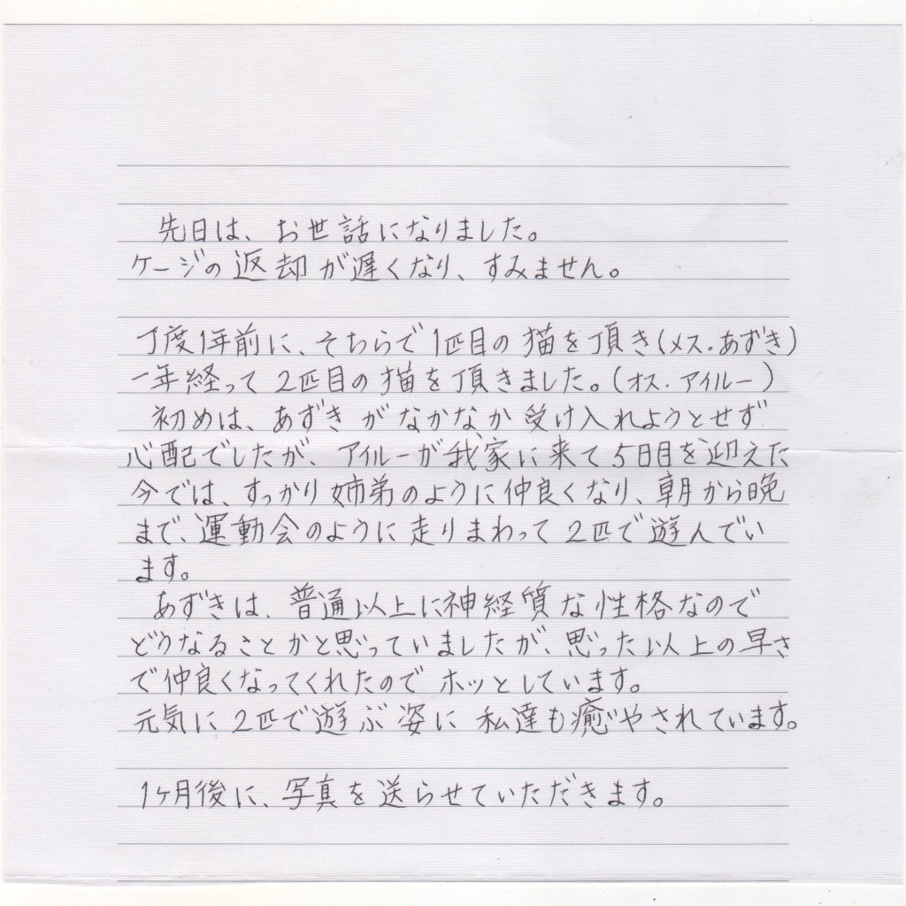 あずきちゃん アイルーちゃん