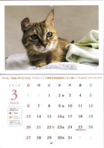 IMG_20151120_0013_NEW