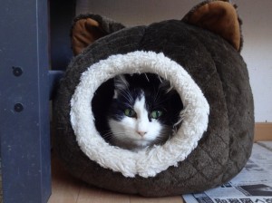 ベッドで横になっている時間が増えました